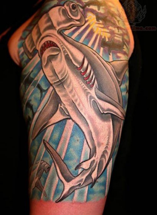 Hammerhead Shark Tattoo On Halfsleeve